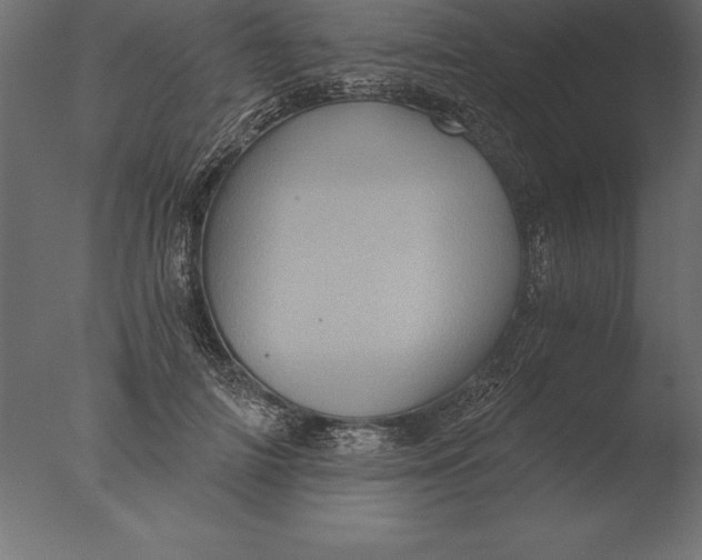 X0000076350698200610201800