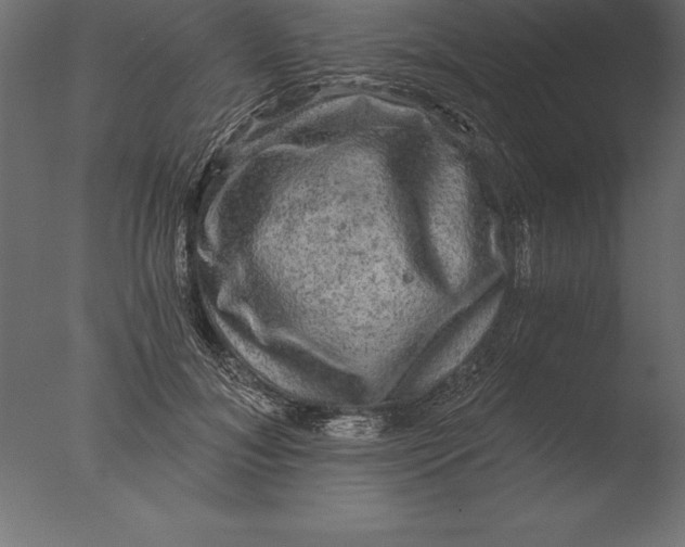 X0000076350700200610201800