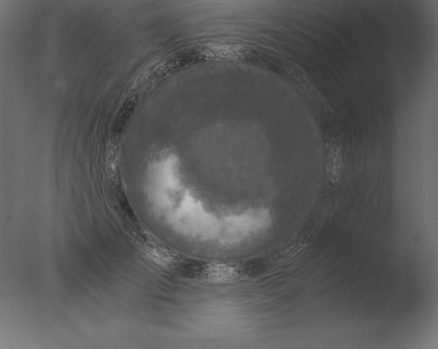 X0000076350701200610201800