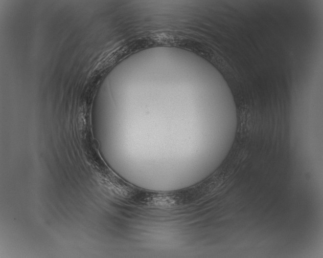 X0000076350702200610201800