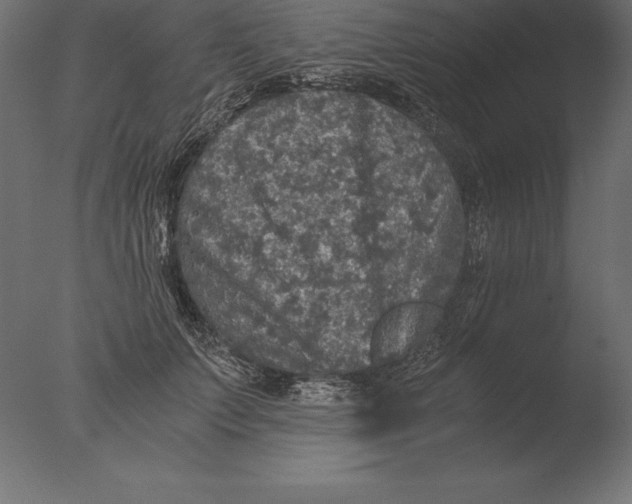 X0000076350703200610201800