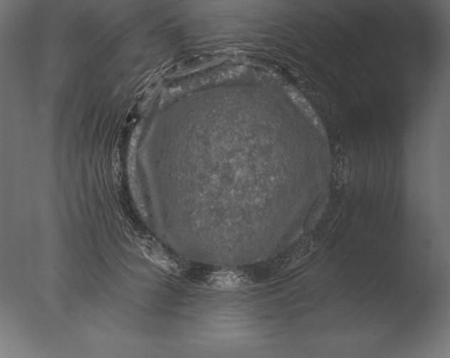 X0000076350704200610201800