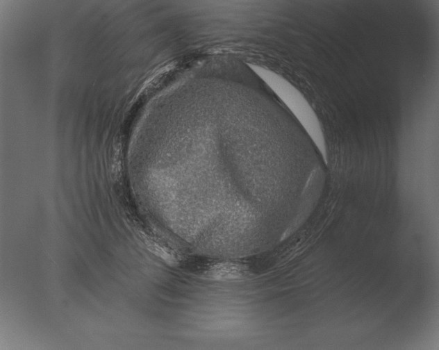 X0000076350708200610201800