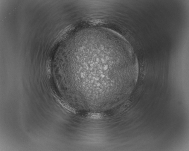 X0000076350710200610201800