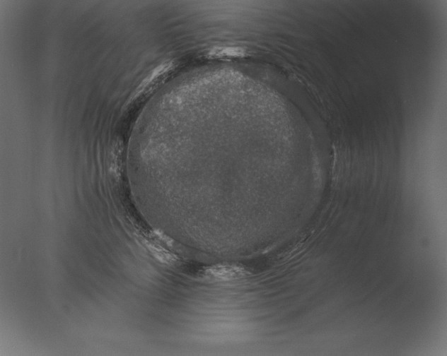 X0000076350712200610201800