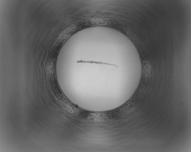 X0000076350713200610201800