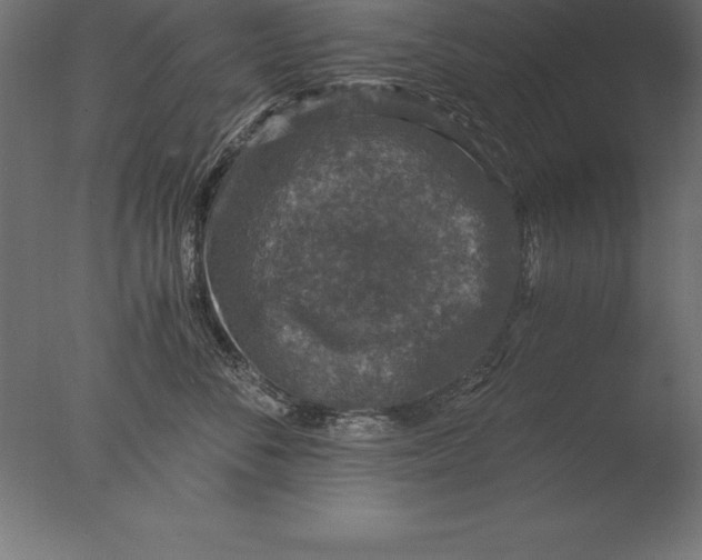 X0000076350716200610201800