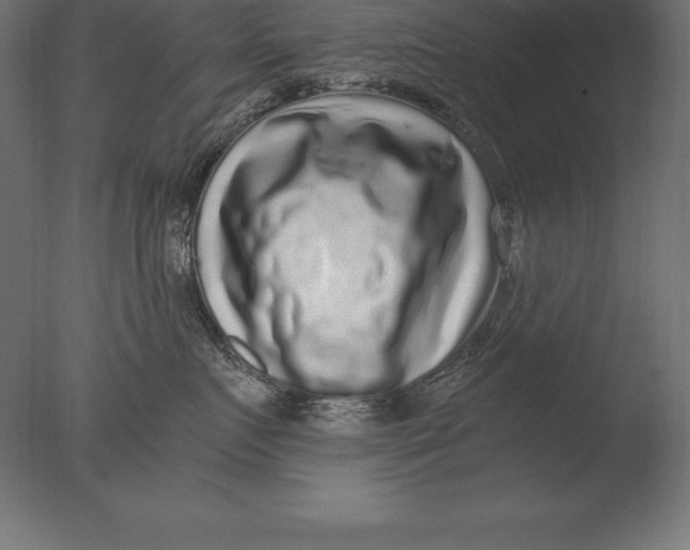 X0000076350719200610201800