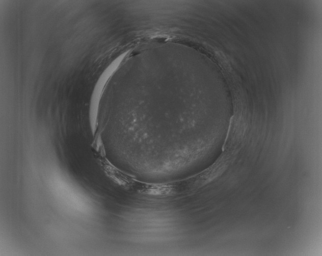 X0000076350720200610201800