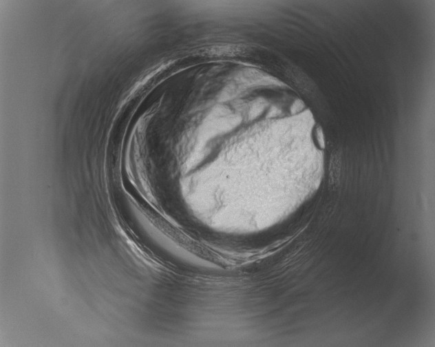 X0000076350722200610201759