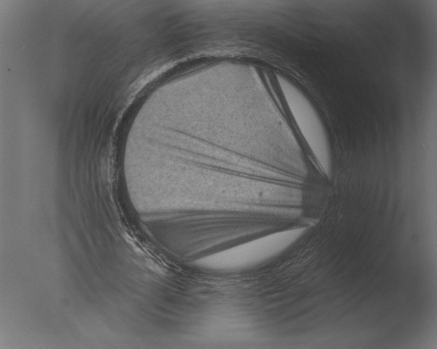 X0000076350724200610201759