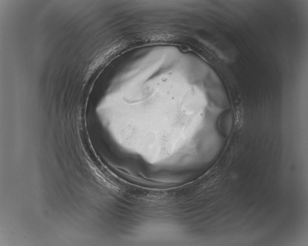 X0000076350725200610201759