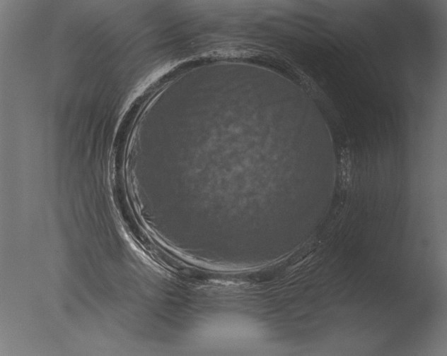 X0000076350726200610201759