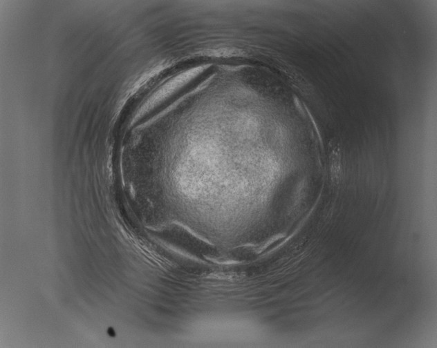 X0000076350727200610201759