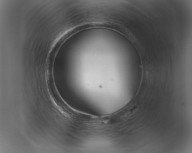 X0000076350728200610201759