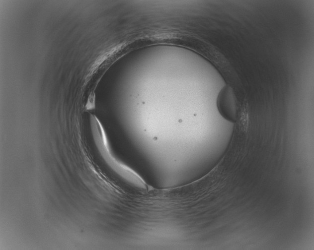 X0000076350732200610201759