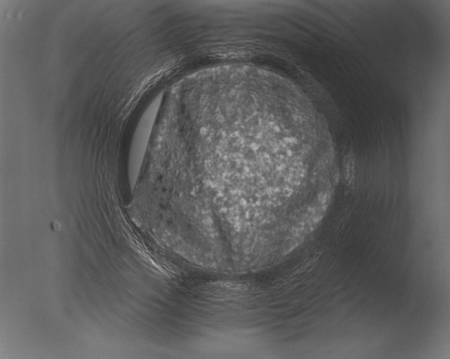 X0000076350733200610201759