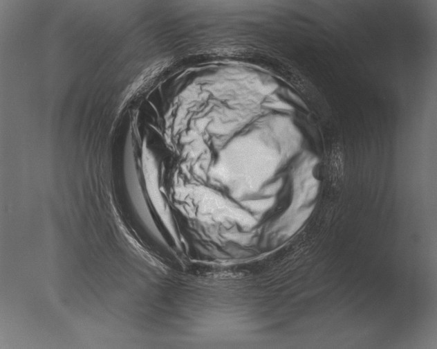 X0000076350734200610201759