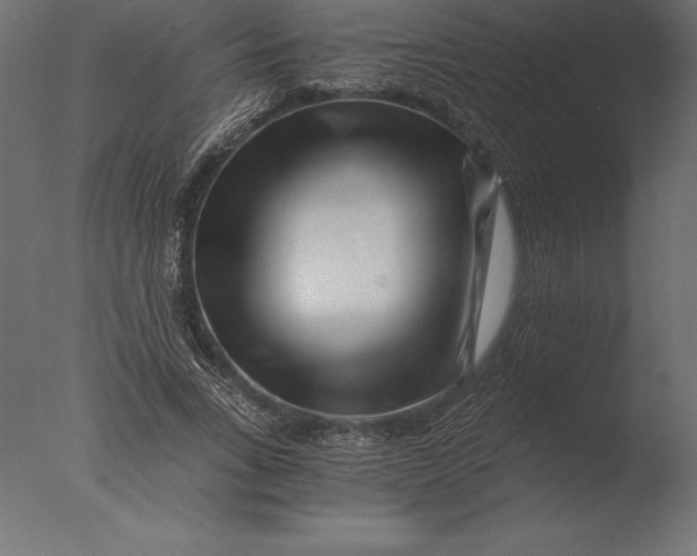 X0000076350735200610201759