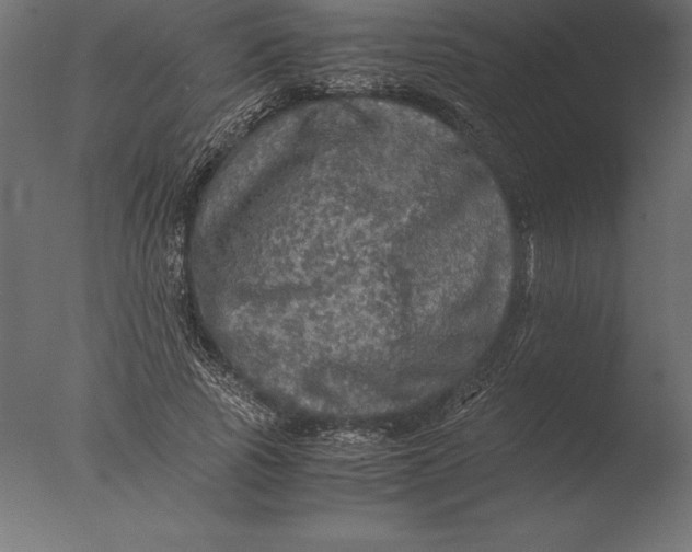 X0000076350737200610201759