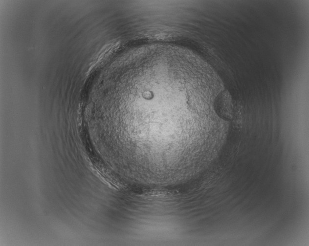 X0000076350738200610201759