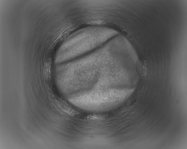 X0000076350739200610201759