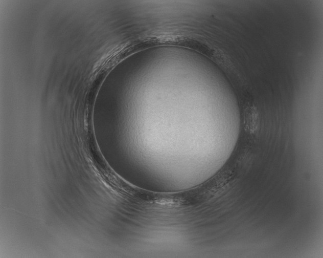 X0000076350740200610201759