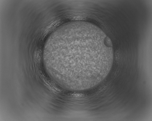 X0000076350741200610201759