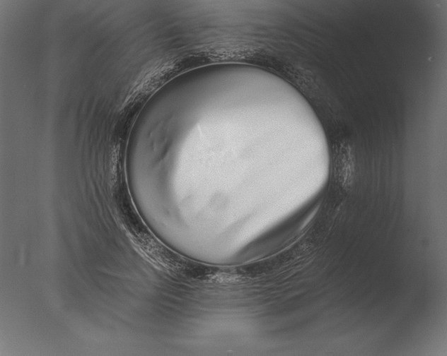 X0000076350742200610201800