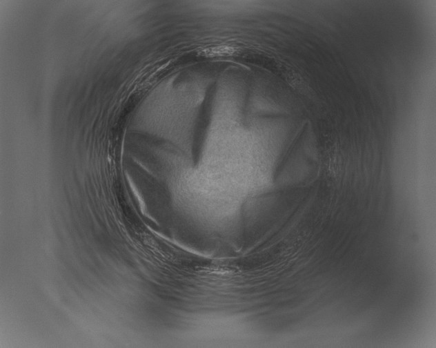 X0000076350743200610201800