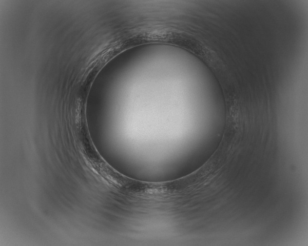 X0000076350744200610201800