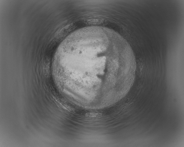 X0000076350745200610201800