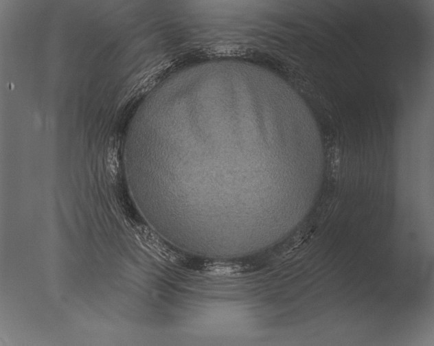 X0000076350746200610201800