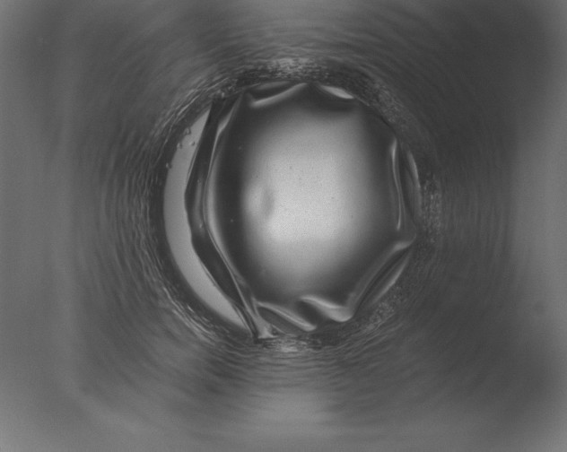 X0000076350750200610201800