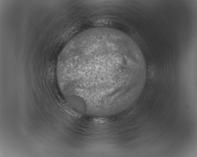 X0000076350753200610201800