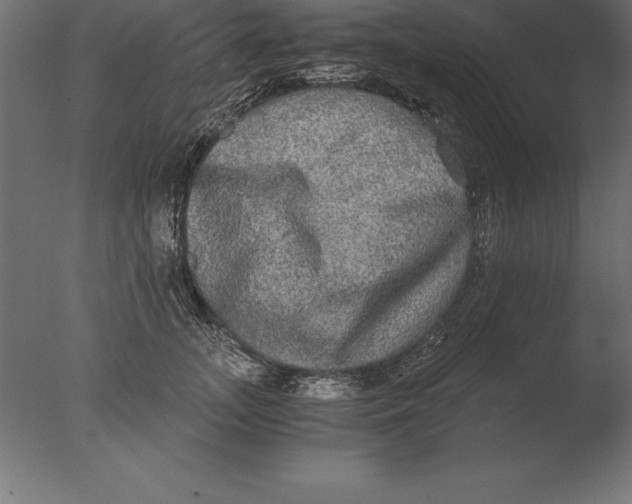 X0000076350755200610201800