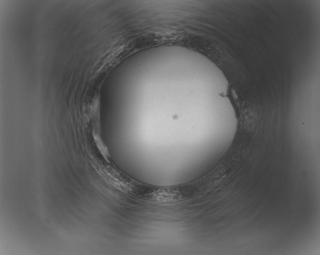 X0000076350756200610201800