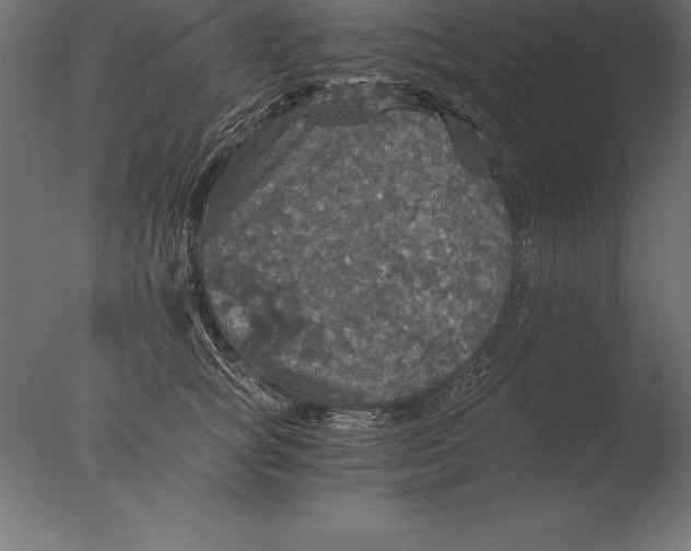 X0000076350757200610201800