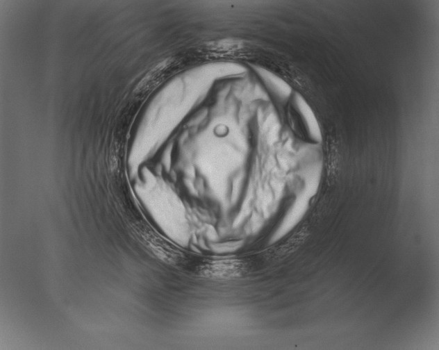 X0000076350758200610201800