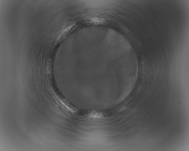 X0000076350760200610201800