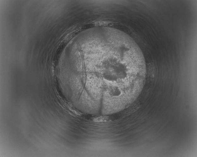 X0000076350761200610201800