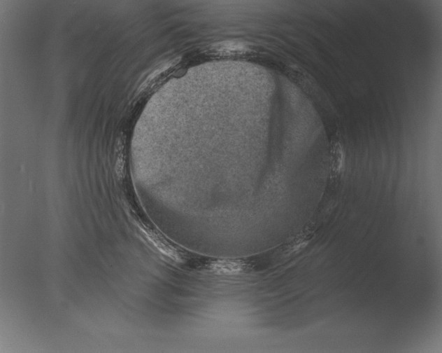 X0000076350762200610201800