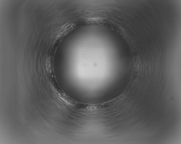 X0000076350764200610201800