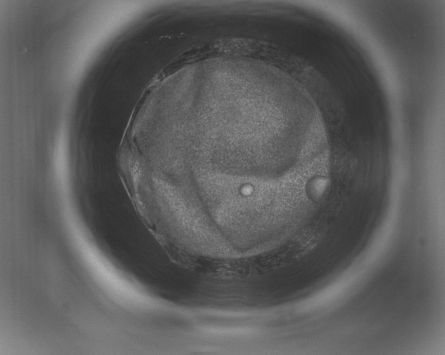 X0000076350765200610201800