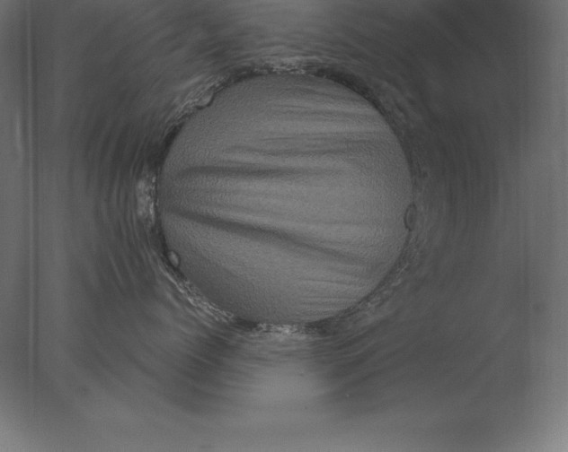 X0000076350768200610201800