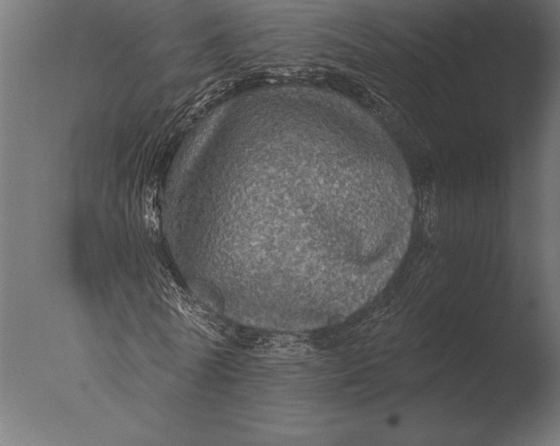 X0000076350770200610201759