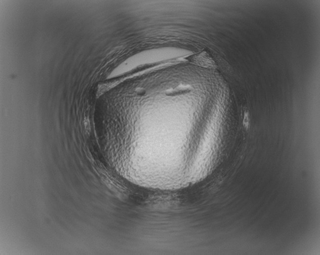 X0000076350771200610201759