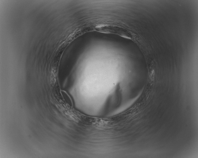 X0000076350772200610201759