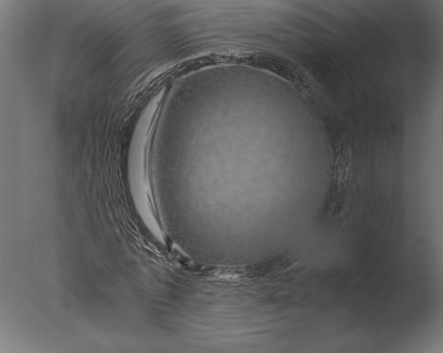 X0000076350773200610201759