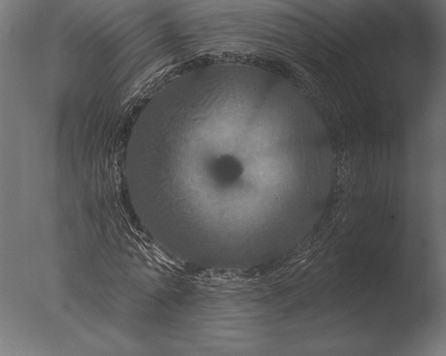 X0000076350774200610201759